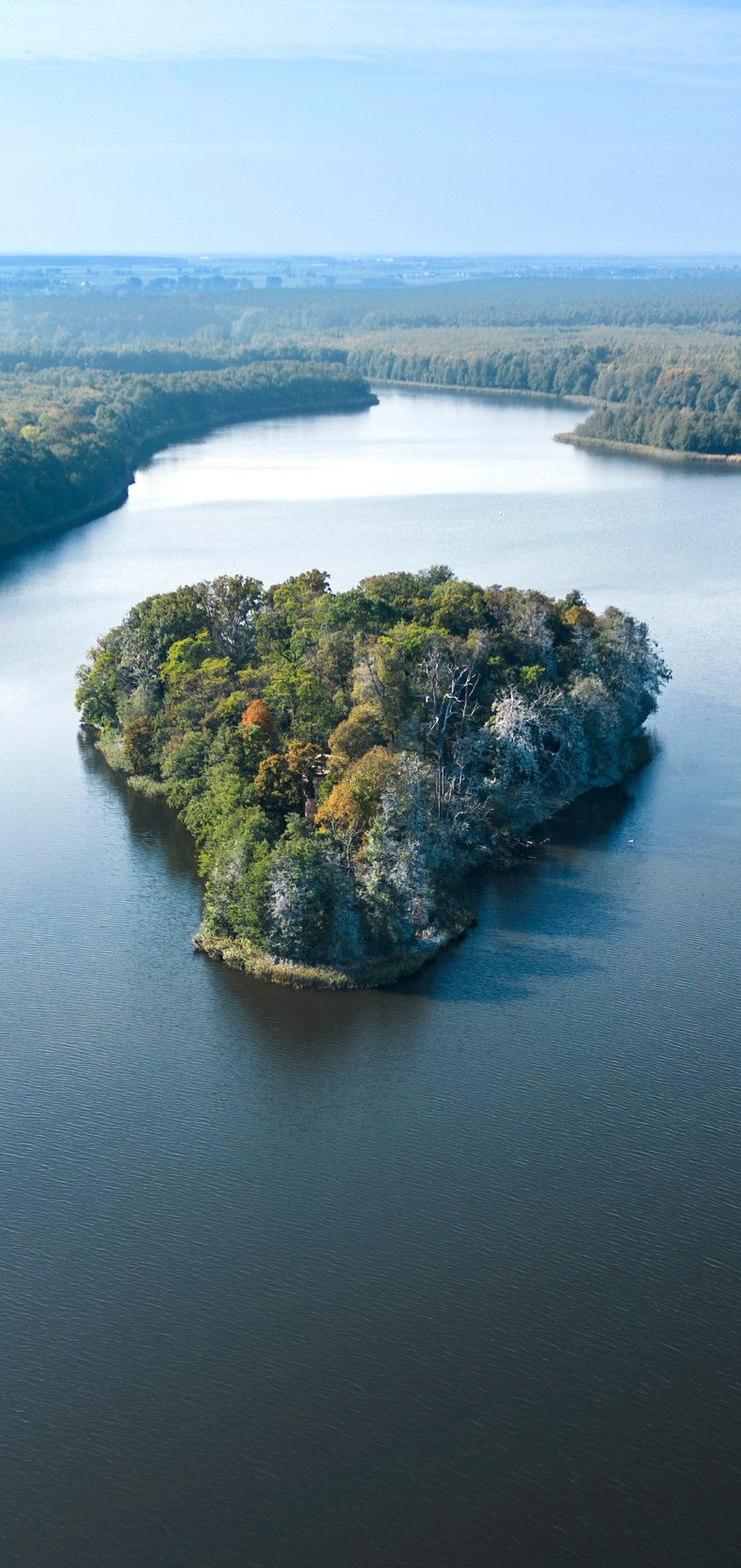 Galeria Wyspa Zamkowa na Jeziorze Góreckim, zdjędcie #5